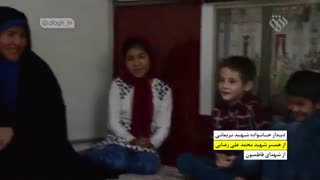 درباره شهید محمود نریمانی 