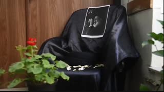 استاد اخلاق | حجت الاسلام و المسلمین سید محمد حسن طباطبایی شیرازی آکنه