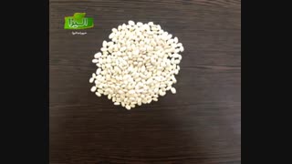 صادرات لوبیا سفید