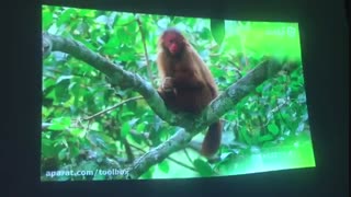 تست ویدئو پروژکتور استوک Epson 96W