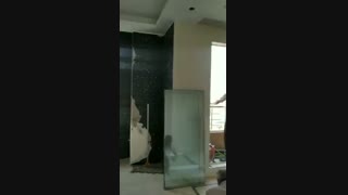 دکوراسیون شرکت پتروشیمی