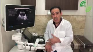 چالش پاریدولیا