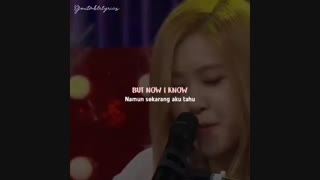 خواندن رزی و جیسوبلک پینک