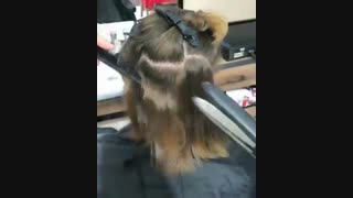 صاف کردن مو دائمی پسران  09123019243