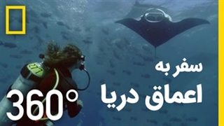 سفر به اعماق دریا | نمایی خارق العاده با ویدئوی 360 درجه