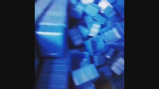 پخش ظروف قارچ