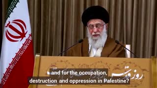 The so-called human rights organizations are dead