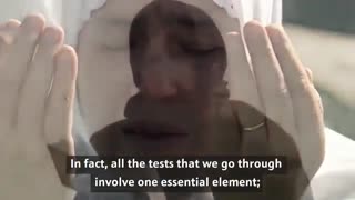 Great, divine appreciation of the chosen Messenger of God, Prophet Abraham (pbuh)