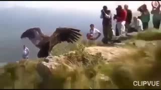 خود را از قفس عادت آزاد کنیم