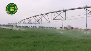 سیستم آبیاری بارانی مزارع