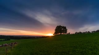 Nature & Landscape 3M