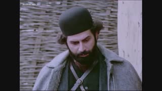 کوچک جنگلی 6