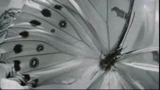 تیتراژ آغازین سریال مشکلی نیست که خوب نباشی با بازی کیم سو هیون