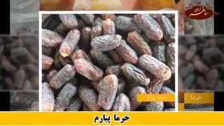 آشنایی با انواع خرما