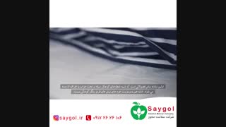 نکات مفید برای مبارزه با جانوران موذی در شیراز