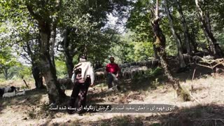 سنگه نان