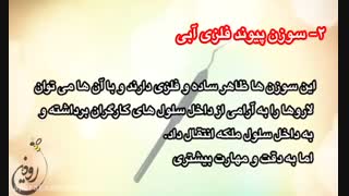 سوزن پیوند ملکه و قاشق برداشت ژل رویال