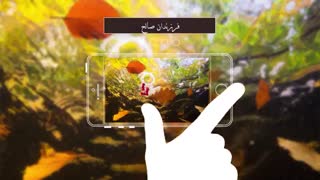 تعریف از مهریه چیست ؟ سبک زندگی | دکتر شاهین فرهنگ