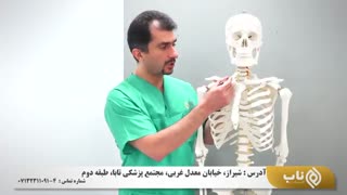 دردهای ستون فقرات گردنی - دکتر حبیب ذاکری کامپوزیت ونیر
