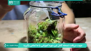 به روز رسانی تراریوم ( باغ شیشه ای ) گرمسیری بسته پس از 1 سال
