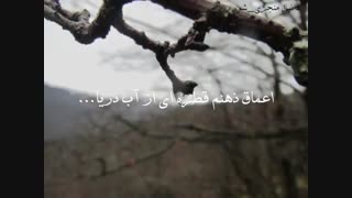 دانیال منجزی شوره زار