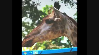 تست ویدئو پروژکتور استوک Epson 96W