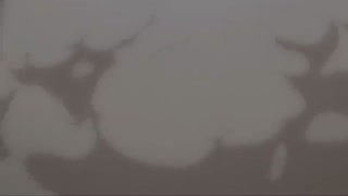 جنگ بزرگ لوفی و کایدو (Luffy vs Kaido)