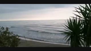 شمال-ویلای ساحلی-اجاره