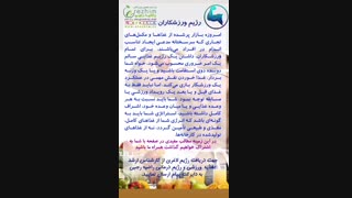 رژیم غذایی ورزشکاران