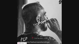 میرم♡تتلو♡