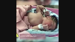 فیلم تولد نوزادان