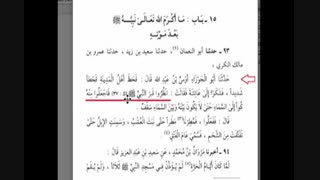 توسل به قبر پیامبر صلی الله علیه وآله به دستور عایشه