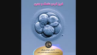 فریز کردن تخمک و جنین | متخصص زنان و زایمان و درمان های فوق تخصص ناباروری | دکتر سوزان پیروان