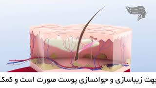 فیلم تزریق فیلر