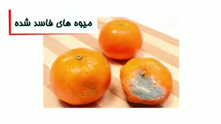 چگونه از ورود مگس به خانه پیشگیری کنیم؟ | مگس کش قوی