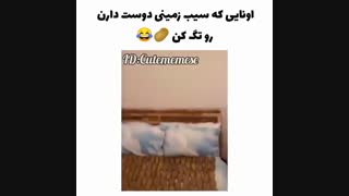 یاد ساشا افتادم