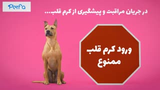 علائم کرم قلب ( دیروفیلاریا ایمیتیس ) در سگ