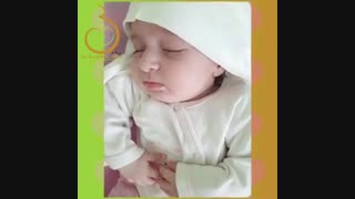 زیبایی خلقت