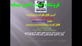 کفش نایک طلایی