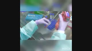 شرکت آراز شیمی گستر نمایندگی فروش محصولات گیبکو در ایران