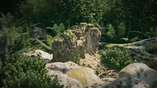 Archmodels vol. 182 - The Forest Collection