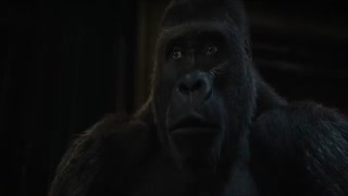 فیلم The One and Only Ivan 2020