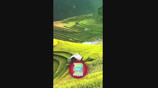 قصه شب دوجلدی (دوست جدید گلاب) قسمت 1