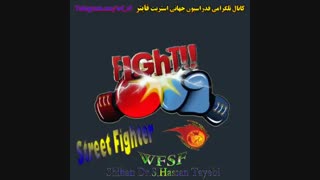 World Street Fighter Style WSFS