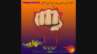 World Street Fighter Style WSFS