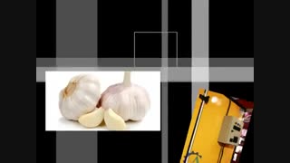 سیر خشک کن تک کابین آراد ماشین