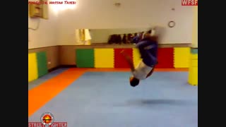 بنیانگذار و ریاست سبک جهانی استریت فایتر کیوشی دکتر سید حسن طیبی .