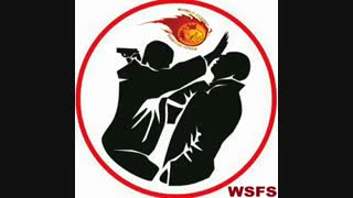World Street Fighter Style WSFS