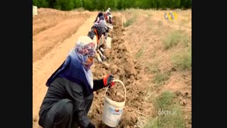 قنات بلده فردوس لیزر صورت