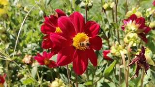 نمونه ویدئوی صحنه آهسته - بررسی تخصصی هواوی nova 7i
